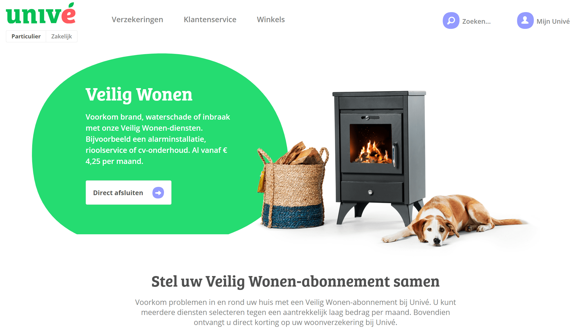 Low-Code No-Code Day