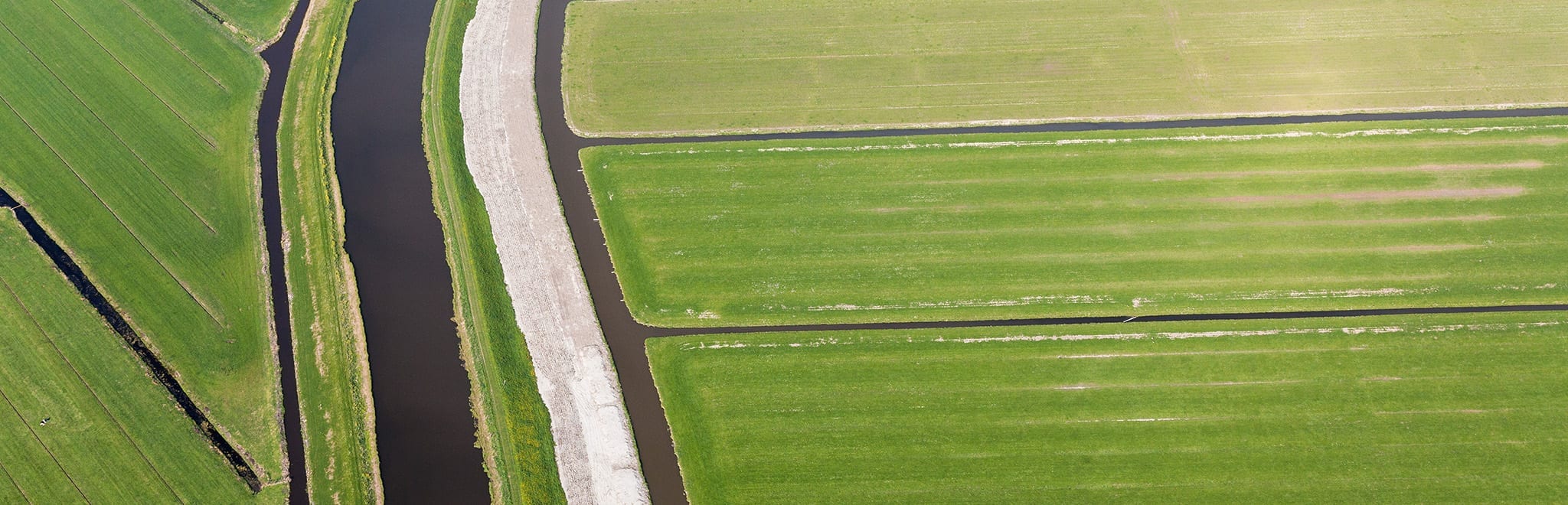 datagedreven organisatie