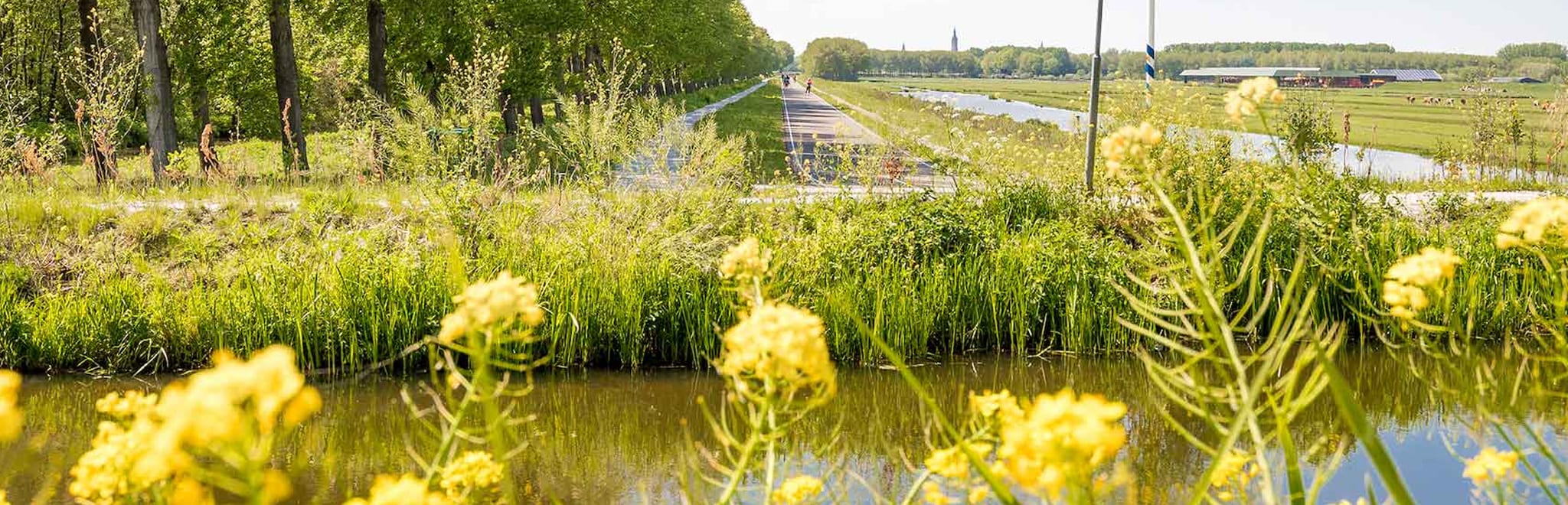 Gemeente Pijnacker-Nootdorp