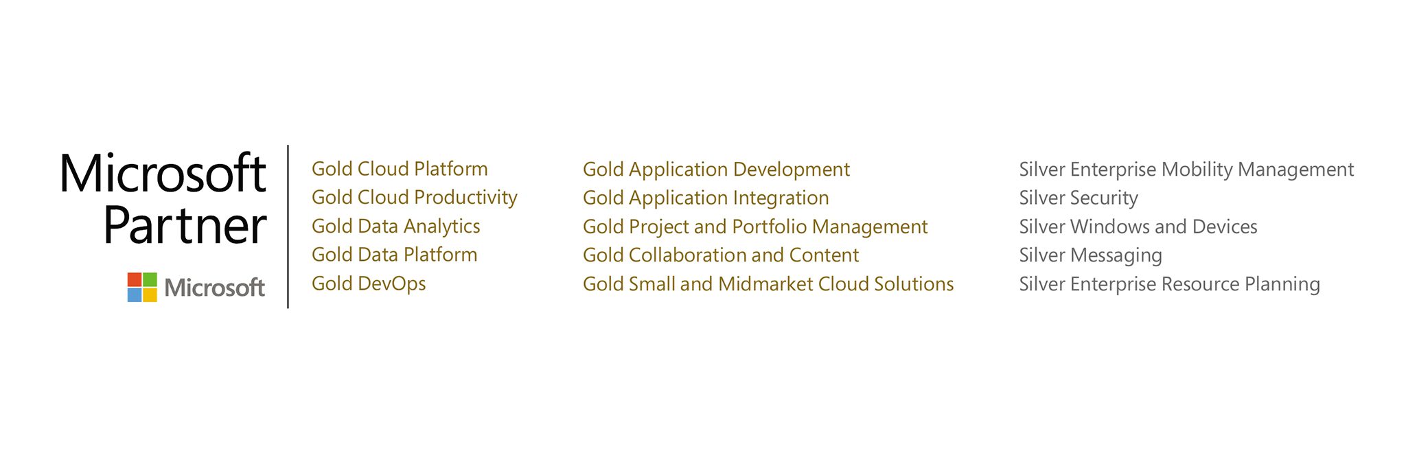 Microsoft partner | 2022